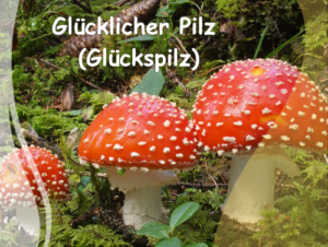 Glücklicher Pilz (Glückspilz): good luck mushroom