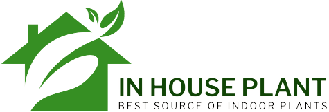 InHousePlant – Your Ultimate Guide to Indoor Gardening