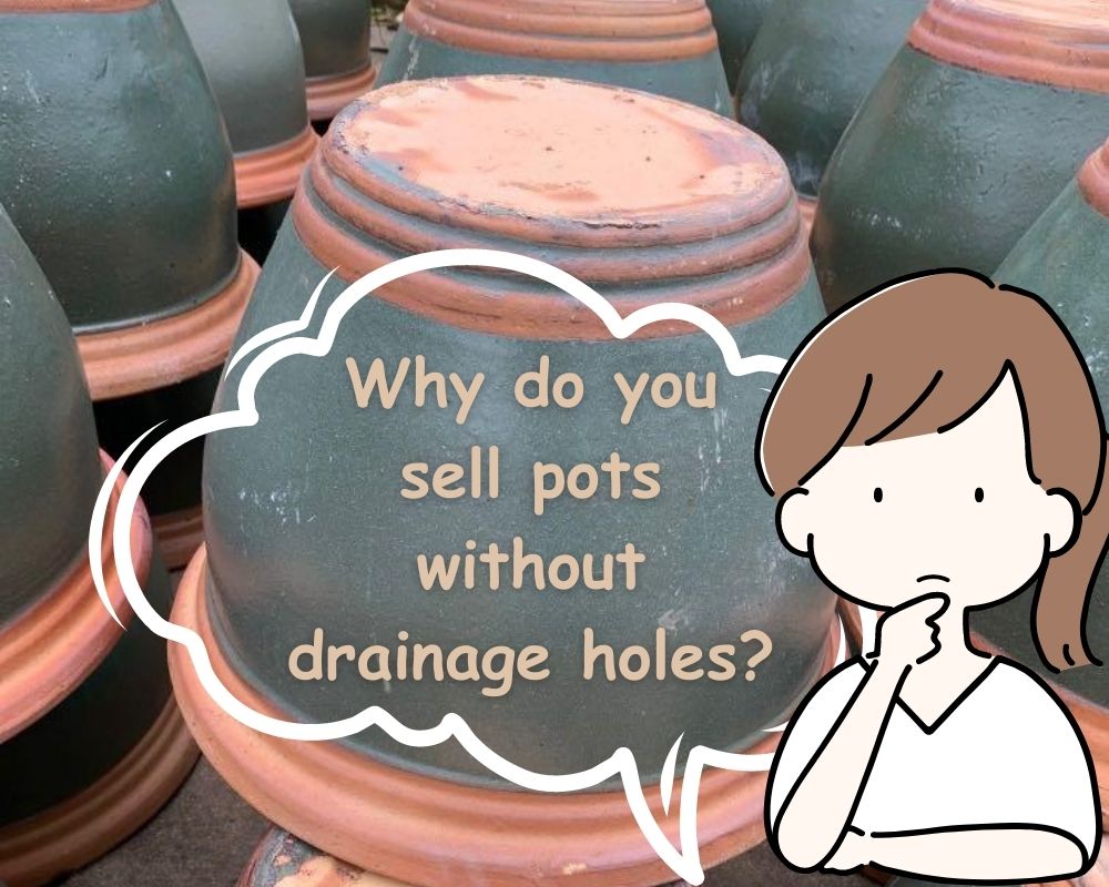 Why Do Some Plant Pots not Have Holes?
