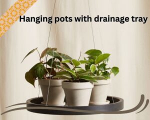 Hanging pots with drainage tray