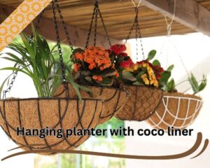 Hanging planter with coco liner