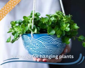 a hanging pot with good drainage