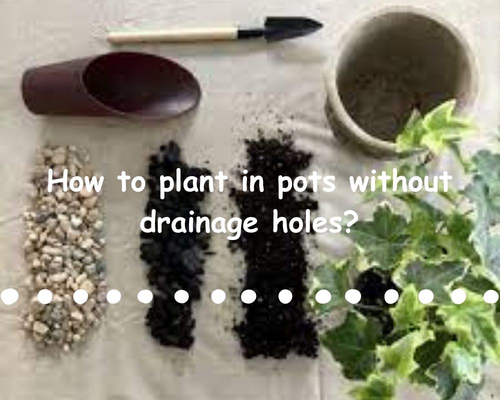 planting in pots without drainage holes