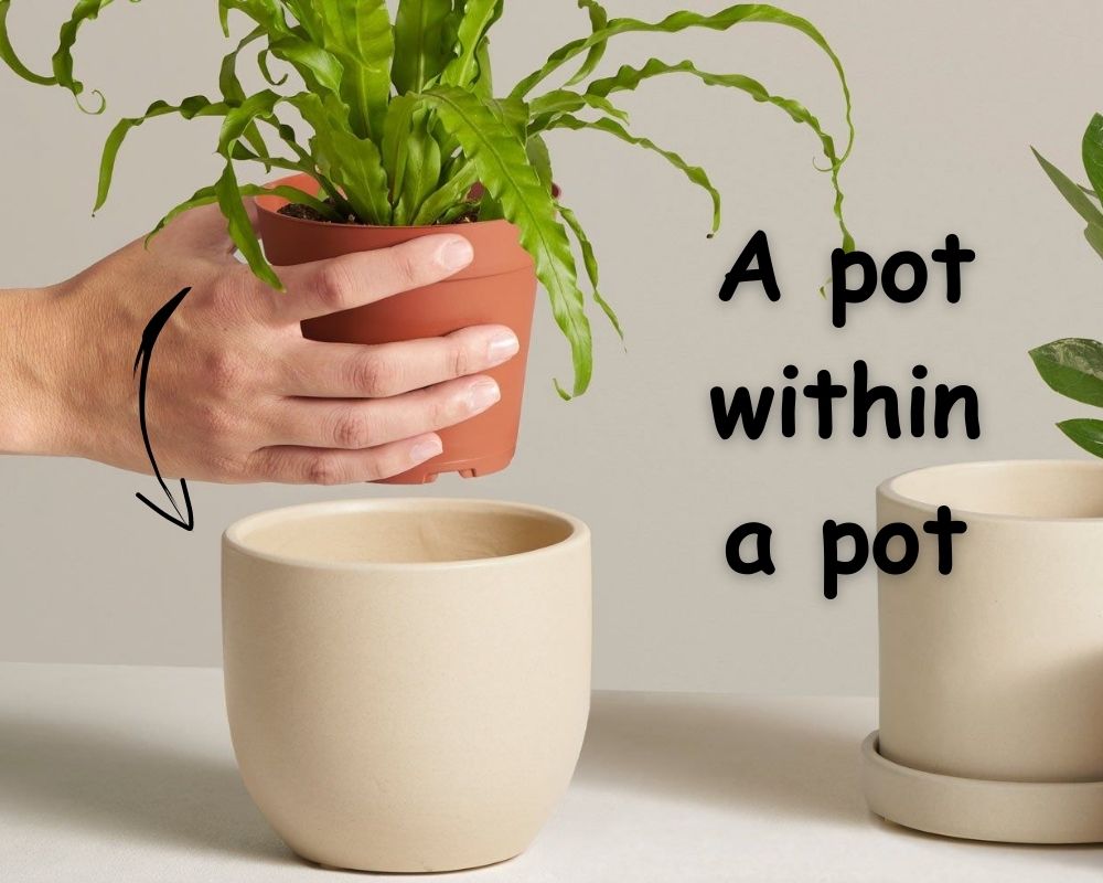 a pot within a pot