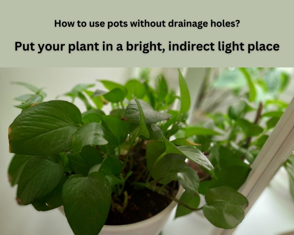Are pots without drainage holes bad? InHousePlant Your Ultimate