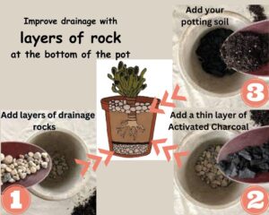 how to pot in a pot without drainage hole