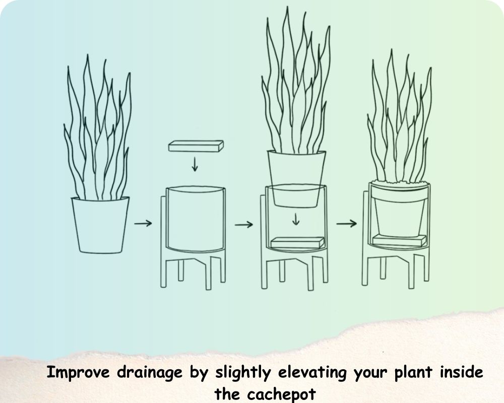 How to prevent root rot in pots without drainage holes 11 pro tips