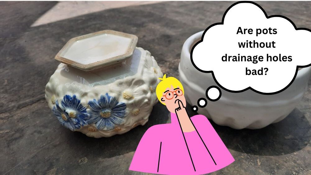 Are pots without drainage holes bad? InHousePlant Your Ultimate