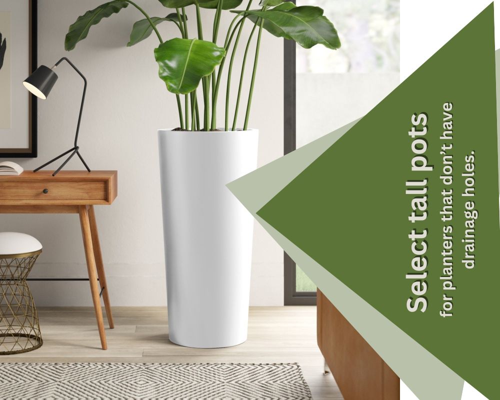 Are pots without drainage holes bad? InHousePlant Your Ultimate