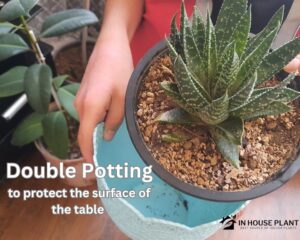 Double Potting to save surface from plant pots