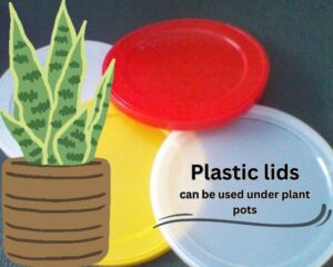 Plastic lids under the plant pots