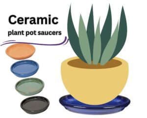 Ceramic plant pot saucers to protect a table