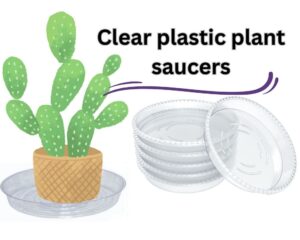 Clear "plates" or clear plastic plant saucers