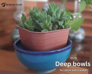 Deep bowls to catch extra water from pots