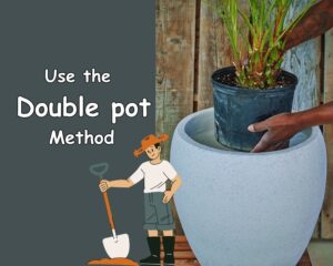 Use the double pot method for repotting in pots without drainage holes