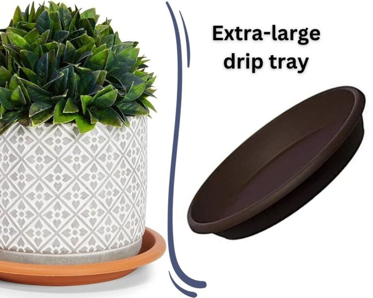 What to Put under Potted Plants? 8 Ideas with images. InHousePlant