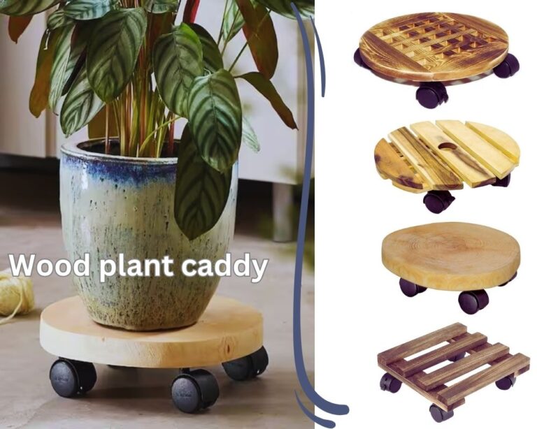 What to Put under Potted Plants? 8 Ideas with images. InHousePlant