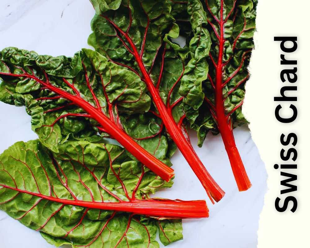 Swiss Chard is a green leafy vegetable with red stems