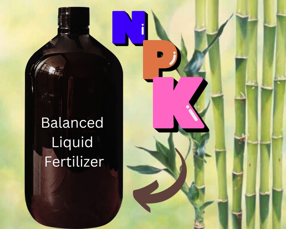 Balanced Liquid Fertilizer for Lucky Bamboo