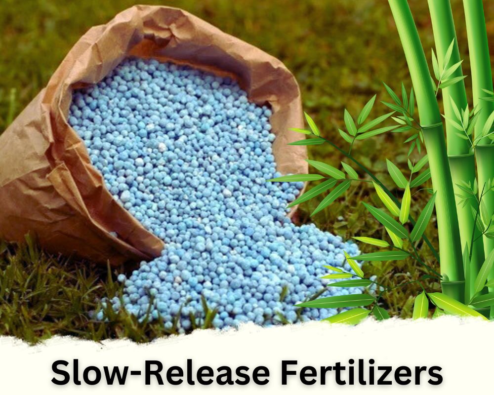 Best Feed for Bamboo in Pots: Slow-Release Fertilizers