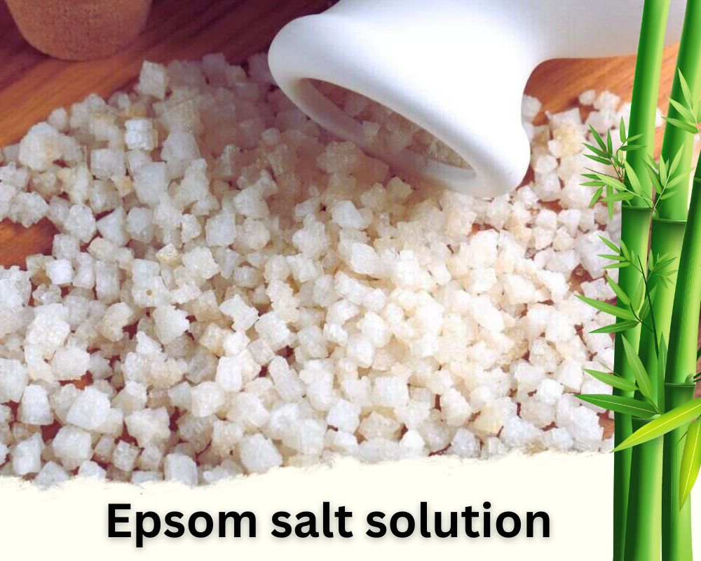 Epsom salt solution homemade liquid fertilizer for lucky bamboo