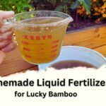 Homemade Liquid Fertilizer for Lucky Bamboo