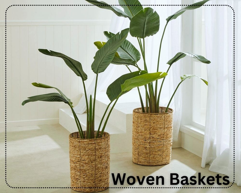 potted plants inside Woven Baskets 