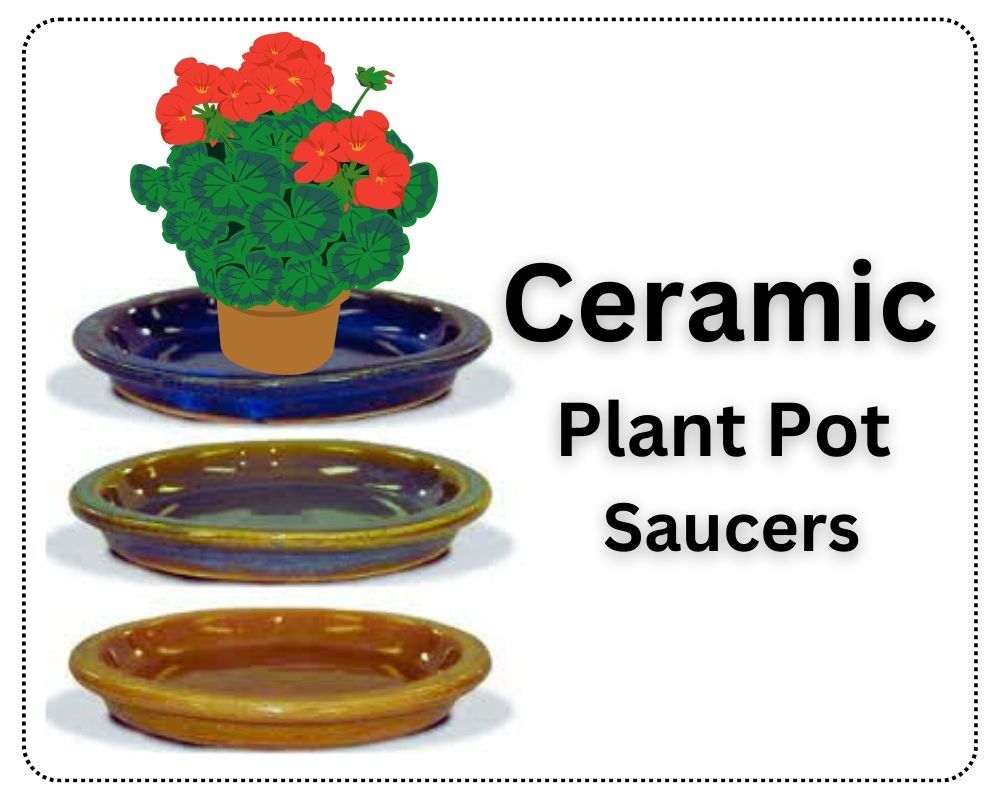 Ceramic Plant Pot Saucers to put under plants to protect furniture 