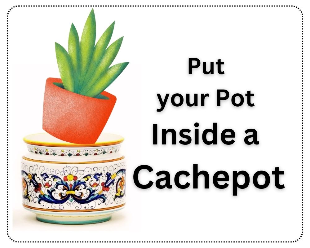 Put Pot Inside a Cachepot to protect furniture from plants
