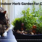 DIY Indoor Herb Garden for Cats