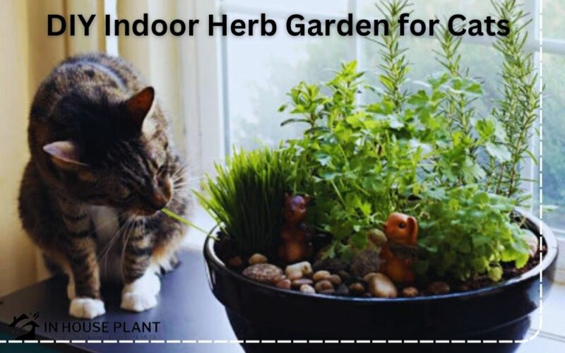 DIY Indoor Herb Garden for Cats + Best Tested Cat Safe Herbs