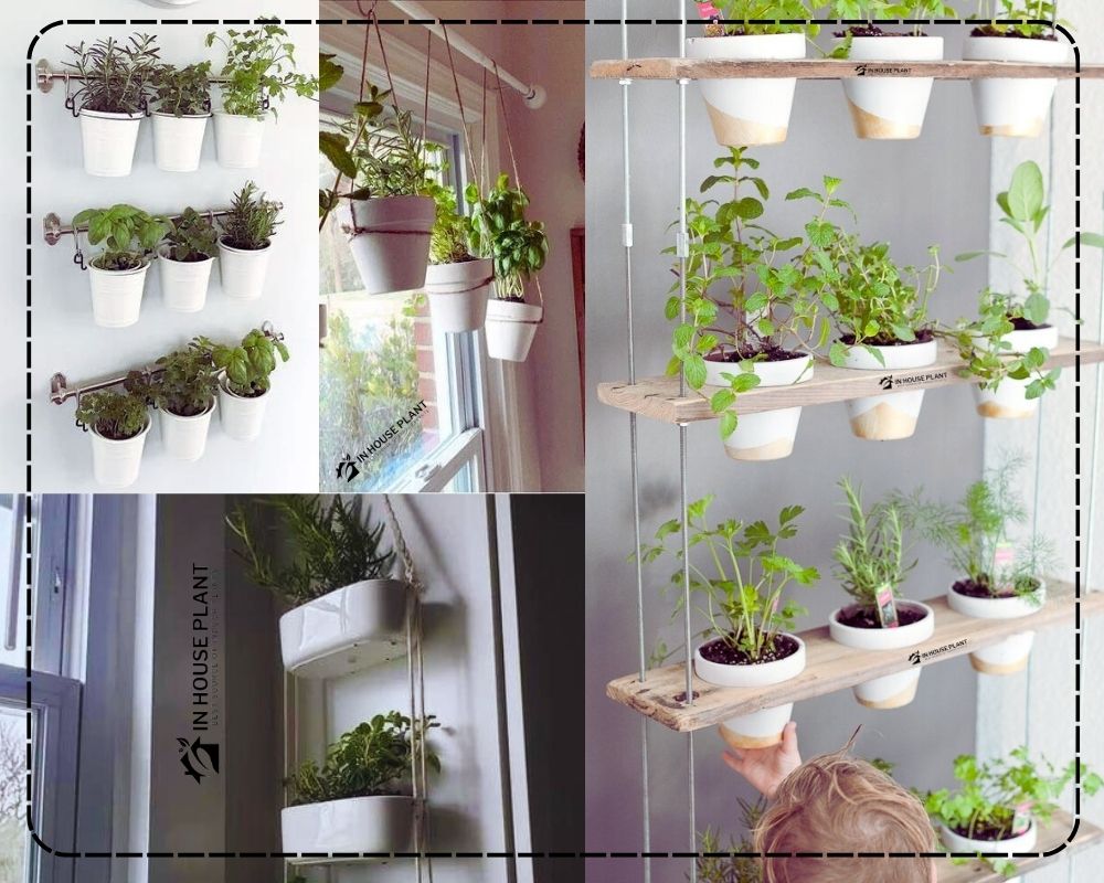 ideas for indoor herb garden: Hanging Herb Garden