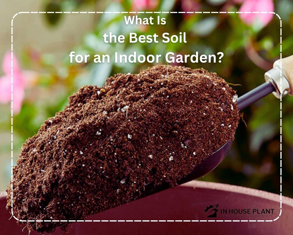 the Best Soil for an Indoor Garden
