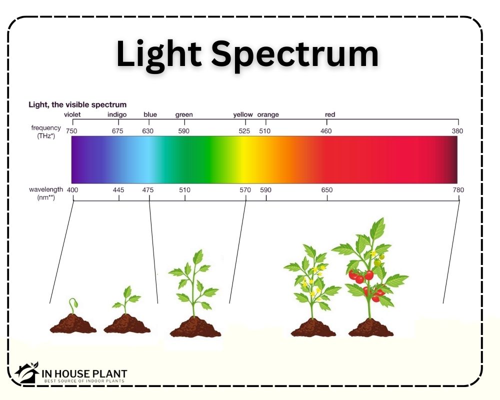 light spectrum for plants