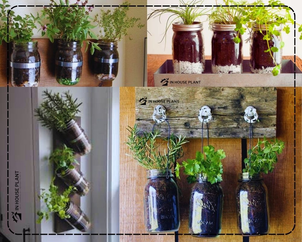 ideas for an Herb Garden in Mason Jars