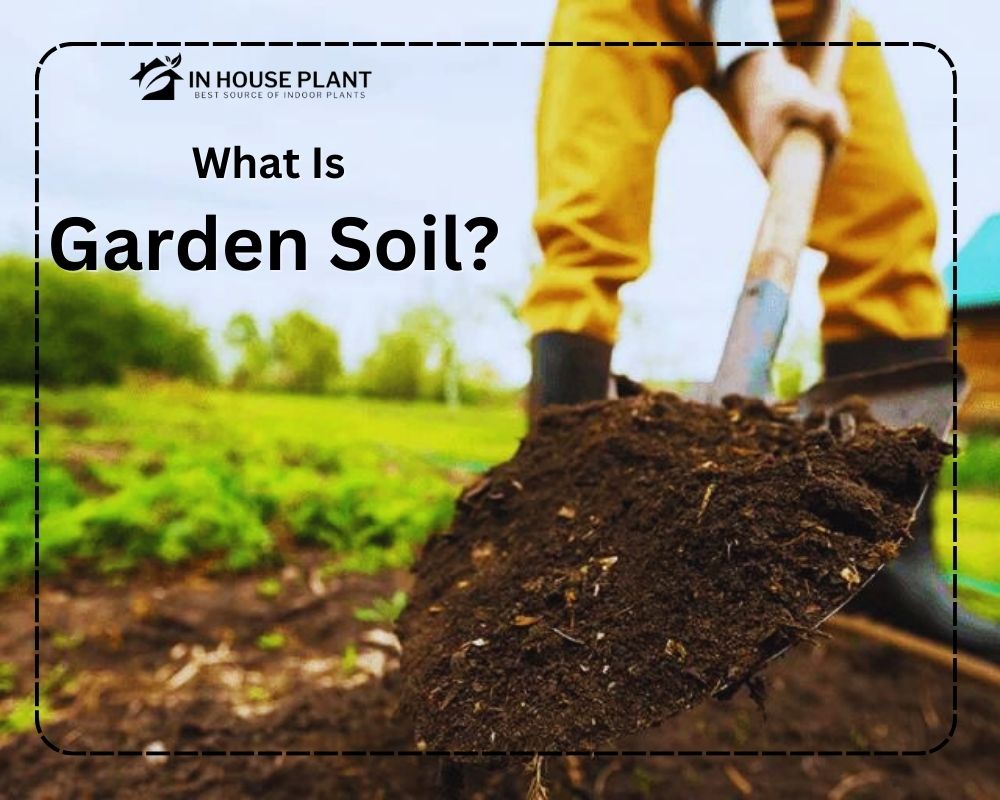 What Is Garden Soil?