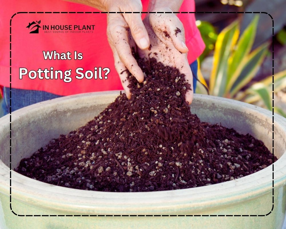 Potting Soil features