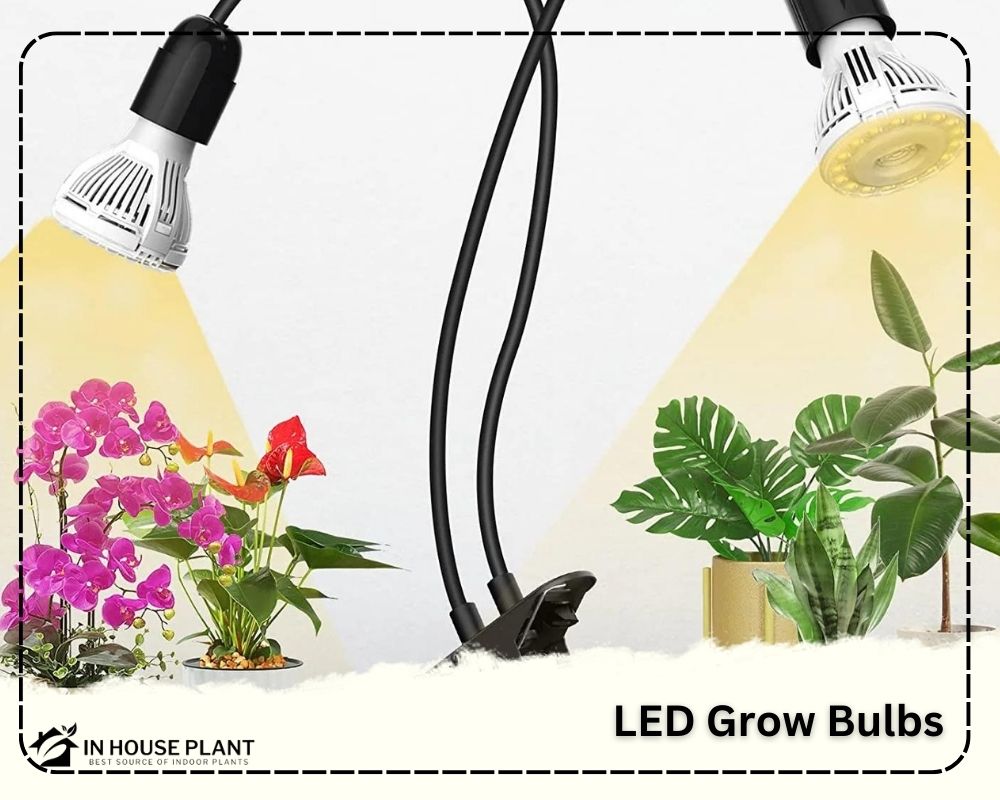 LED Grow Bulbs as grow light with high efficiency