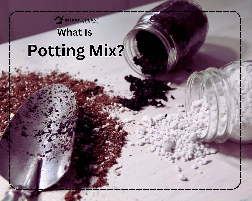 Potting Mix mixture