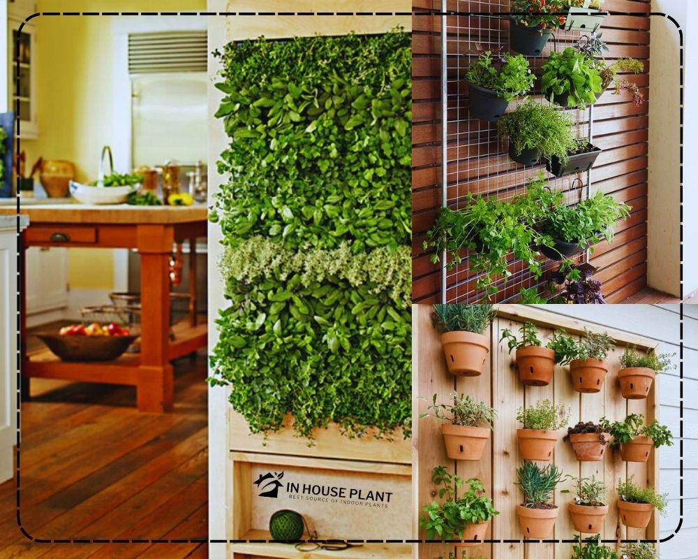 Wall-Mounted Indoor Herb Garden Ideas