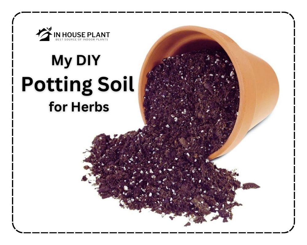 My DIY Potting Soil for Herbs
