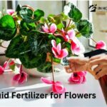 Liquid Fertilizer for Flowers