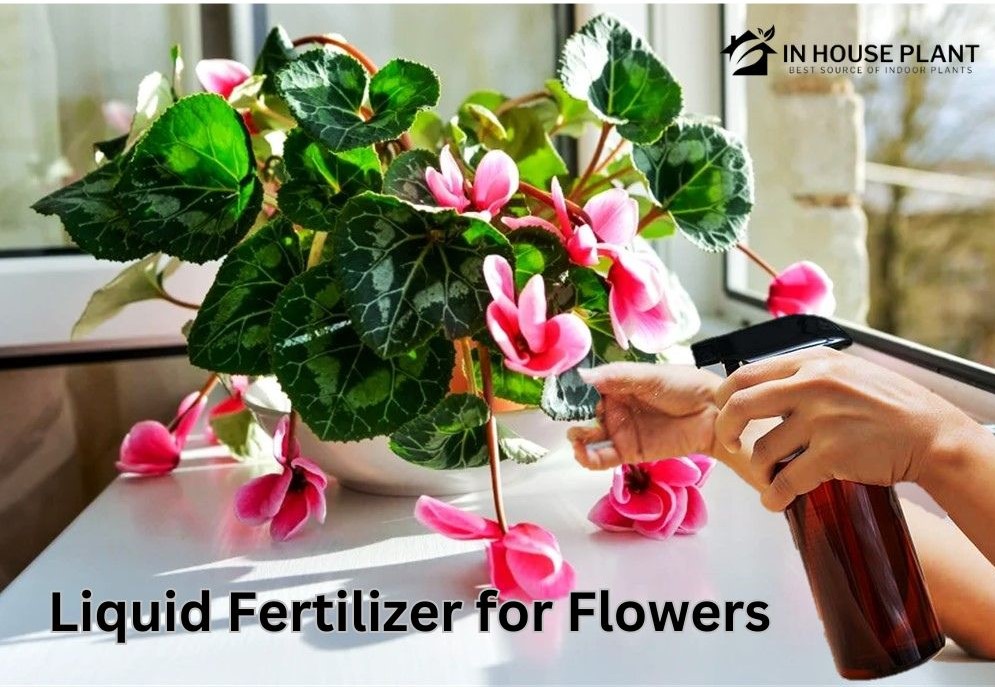 Approved Liquid Fertilizer for Flowers: Tested and True